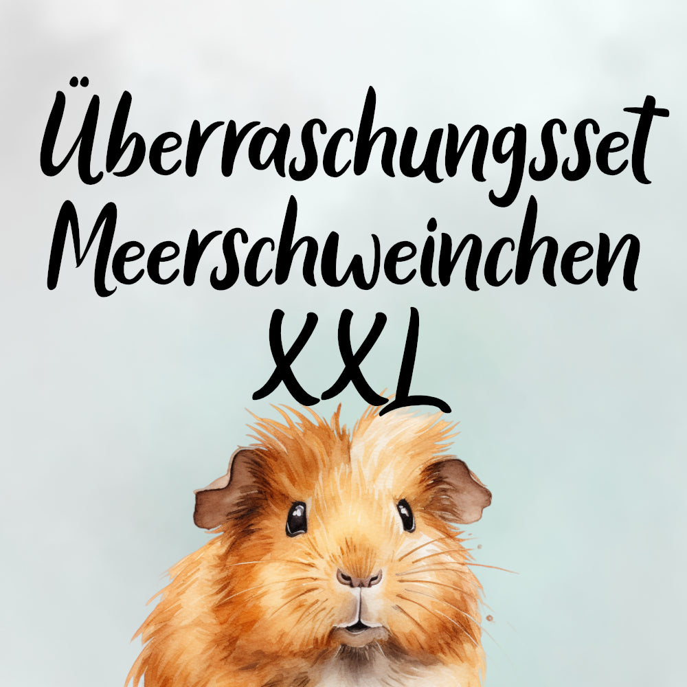Überraschungsset Meerschweinchen XXL