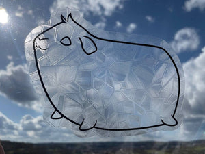 Fensterbild Meerschweinchen Blickrichtung Links Splitter