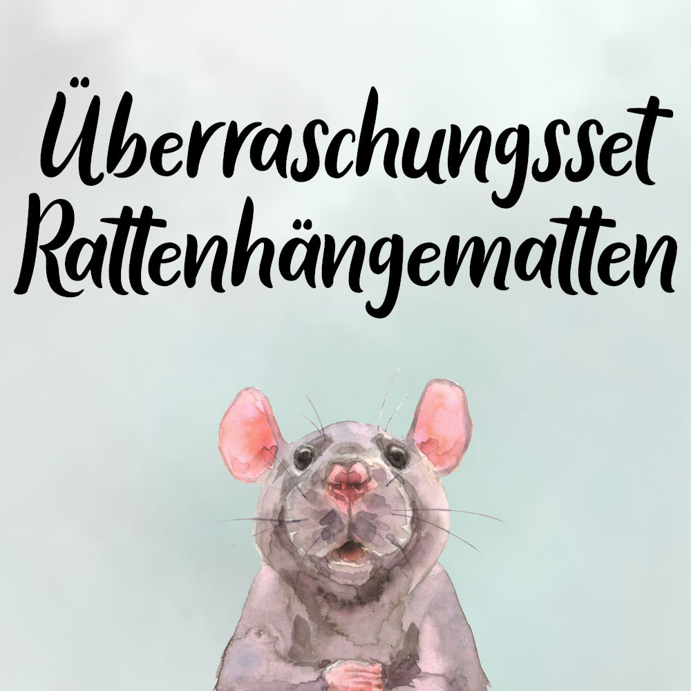 Überraschungsset Rattenhängematten